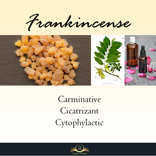 Introduction to Frankincense: Flatulence and Cell Growth